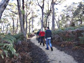  Maitland Accommodation