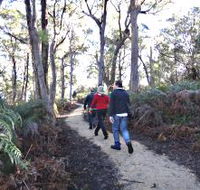 Bridport Walking Track - Maitland Accommodation