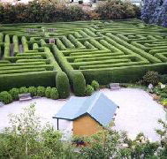Westbury Maze and Tea Room - Maitland Accommodation
