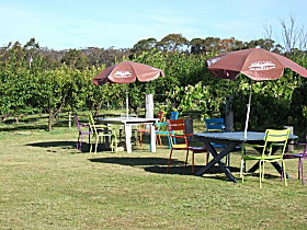 Cerise Brook Orchard & Family Golf - Maitland Accommodation 0