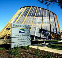 Forest EcoCentre - Maitland Accommodation