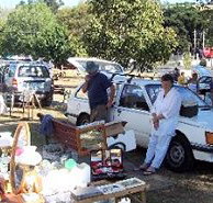 Don Village Market - Maitland Accommodation