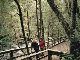 Franklin River Nature Trail - Maitland Accommodation 0