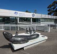 Australia's Antarctic Headquarters - Maitland Accommodation
