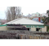 Richmond Maze and Tea Rooms - Maitland Accommodation