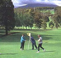 Deloraine Golf Course - Maitland Accommodation