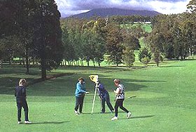 Deloraine Golf Course - Maitland Accommodation 0