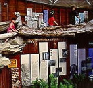 West Coast Visitor Information and Booking Centre - Maitland Accommodation