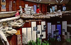 West Coast Visitor Information And Booking Centre - Maitland Accommodation 0