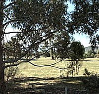 Cygnet Public Golf Course - Maitland Accommodation