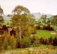 The Tasmanian Arboretum - Maitland Accommodation