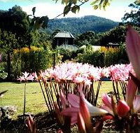 Blueberry Cottage Open Gardens - Maitland Accommodation