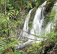 Hogarth Falls - Maitland Accommodation