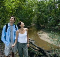 Mooloolah River National Park Jowarra Section - Maitland Accommodation