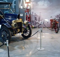 Wonders of Wynyard - The - Maitland Accommodation