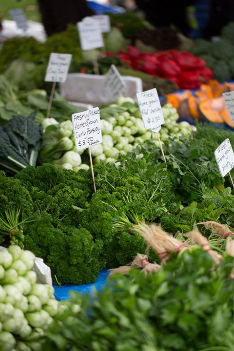 Salamanca Market - Maitland Accommodation 5