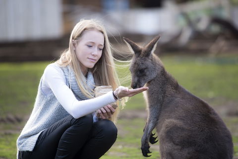 Bonorong Wildlife Sanctuary - Maitland Accommodation 0