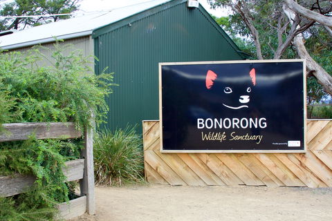 Bonorong Wildlife Sanctuary - Maitland Accommodation 1