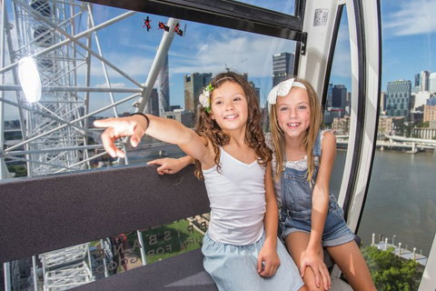 The Wheel Of Brisbane - Maitland Accommodation 4