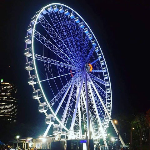 The Wheel Of Brisbane - Maitland Accommodation 5