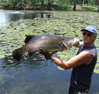 Barra Feeding - Maitland Accommodation