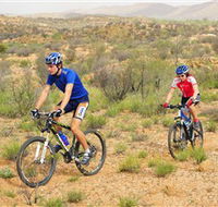 Araluen Mountain Bike Trails - Maitland Accommodation