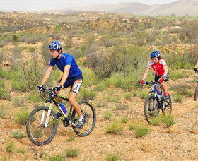 Araluen Mountain Bike Trails - Maitland Accommodation 0