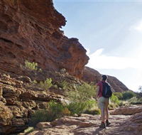 Giles Track - Maitland Accommodation