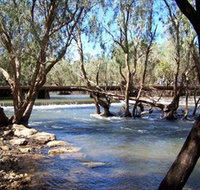 Low Level Nature Reserve - Maitland Accommodation