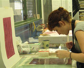 Maitland Accommodation