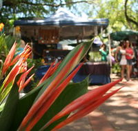 Nightcliff Markets - Maitland Accommodation