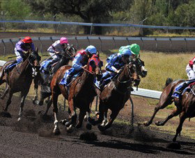 Alice Springs Turf Club - Maitland Accommodation 0