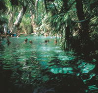 Mataranka Thermal Pool - Maitland Accommodation