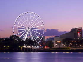 The Wheel Of Brisbane - Maitland Accommodation 0