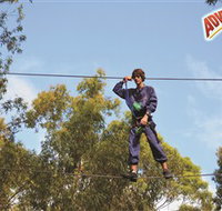 Adventure Parc at Currumbin Wildlife Sanctuary - Maitland Accommodation
