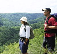 Sunshine Coast Hinterland Great Walk - Maitland Accommodation