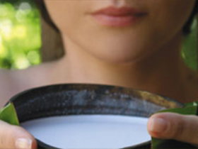 Doonan QLD Maitland Accommodation