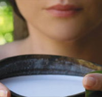 Ikatan Day Spa - Maitland Accommodation