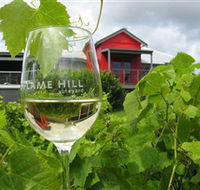 Flame Hill Vineyard - Maitland Accommodation