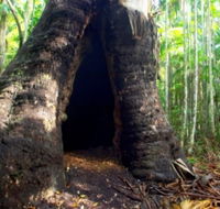 Tewantin National Park - Maitland Accommodation