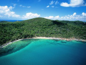 Noosa Heads Coastal Track - Maitland Accommodation 0