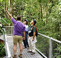 Daintree Discovery Centre - Maitland Accommodation