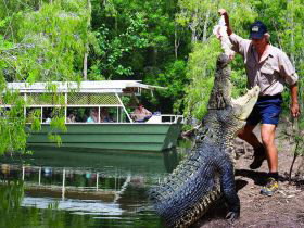 Hartleys Crocodile Adventures - Maitland Accommodation 0