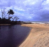 Russell River National Park - Maitland Accommodation