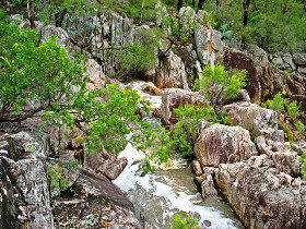 Maitland Accommodation