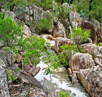 Crows Nest National Park - Maitland Accommodation