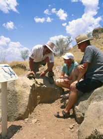 Riversleigh Fossil Fields - Maitland Accommodation 0