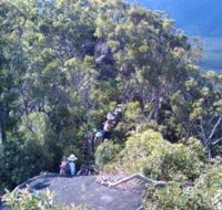 Mia Mia State Forest - Maitland Accommodation