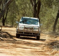 Ward River 4x4 Stock Route Trail - Maitland Accommodation