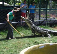 Snakes Downunder Reptile Park and Zoo - Maitland Accommodation